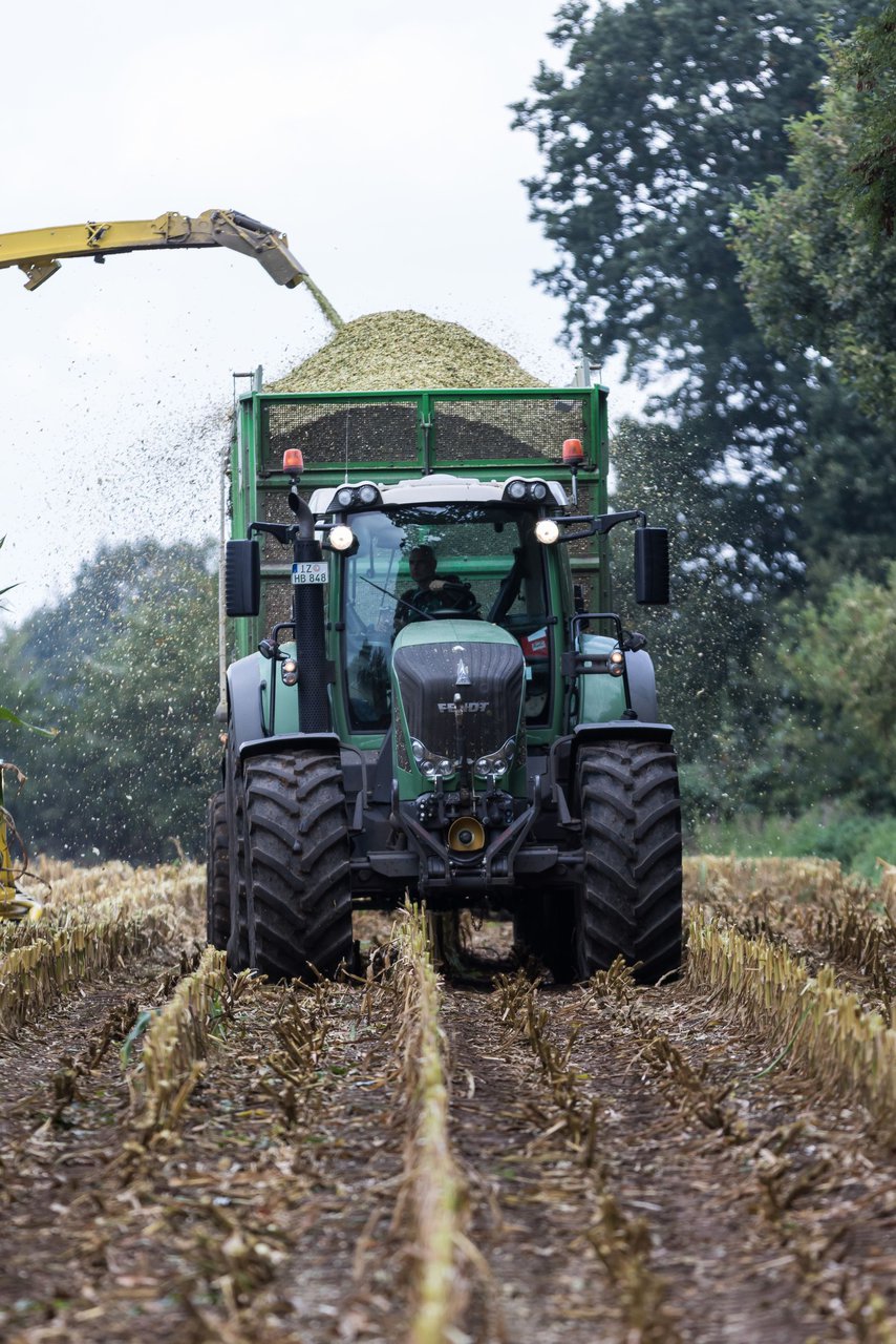 Bild 203 - Maisernte